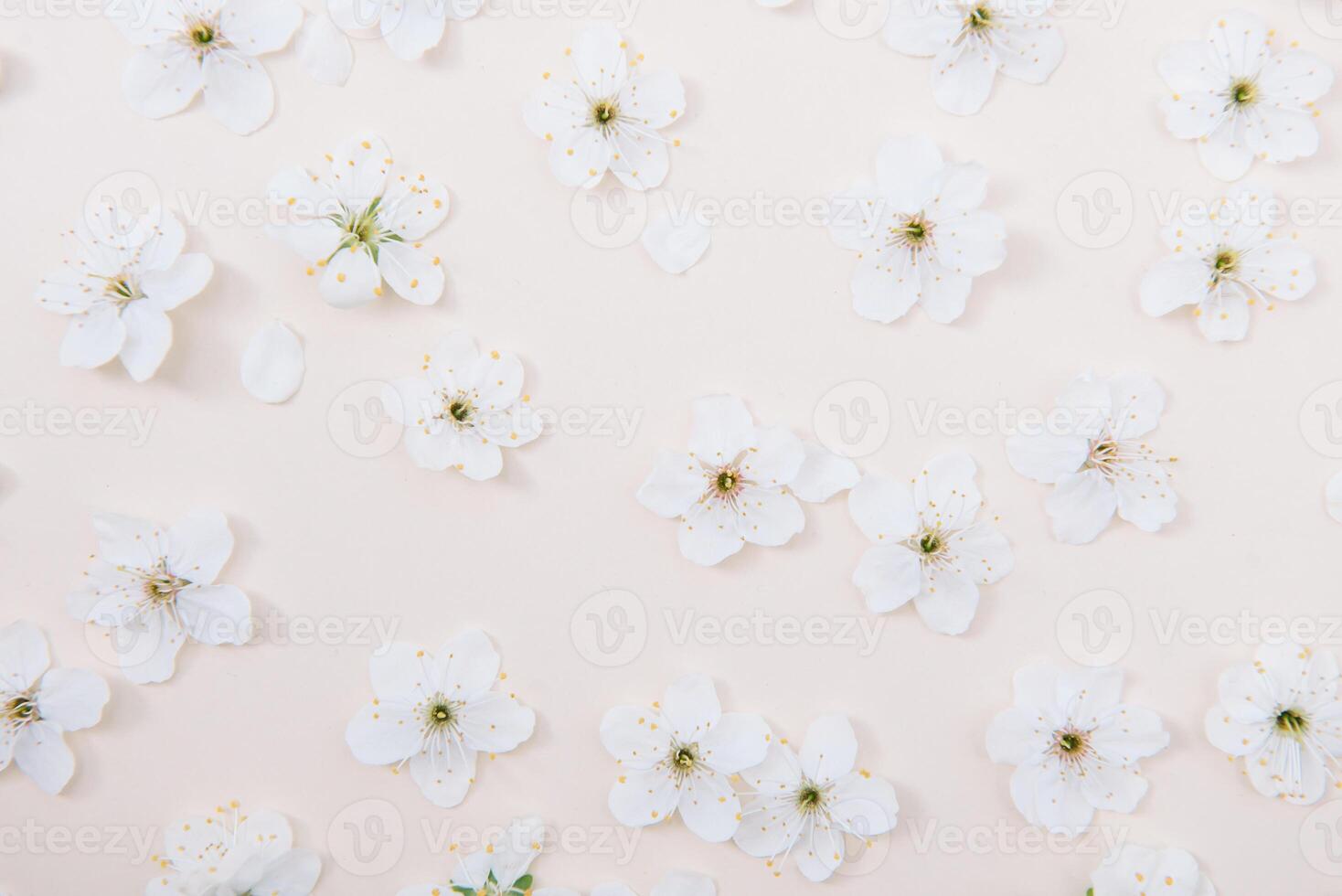 Spring nature background with lovely blossom in yellow pastel color, top view, banner. Springtime concept. photo