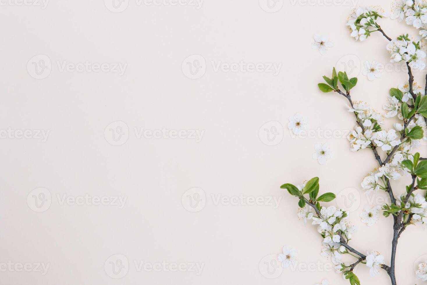 Spring nature background with lovely blossom in yellow pastel color, top view, banner. Springtime concept photo