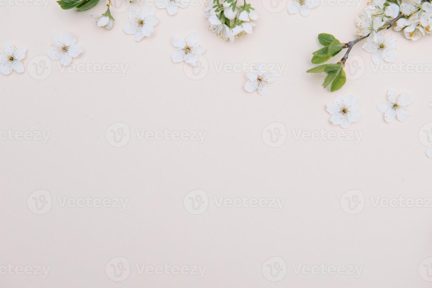Spring nature background with lovely blossom in yellow pastel color, top view, banner. Springtime concept. photo