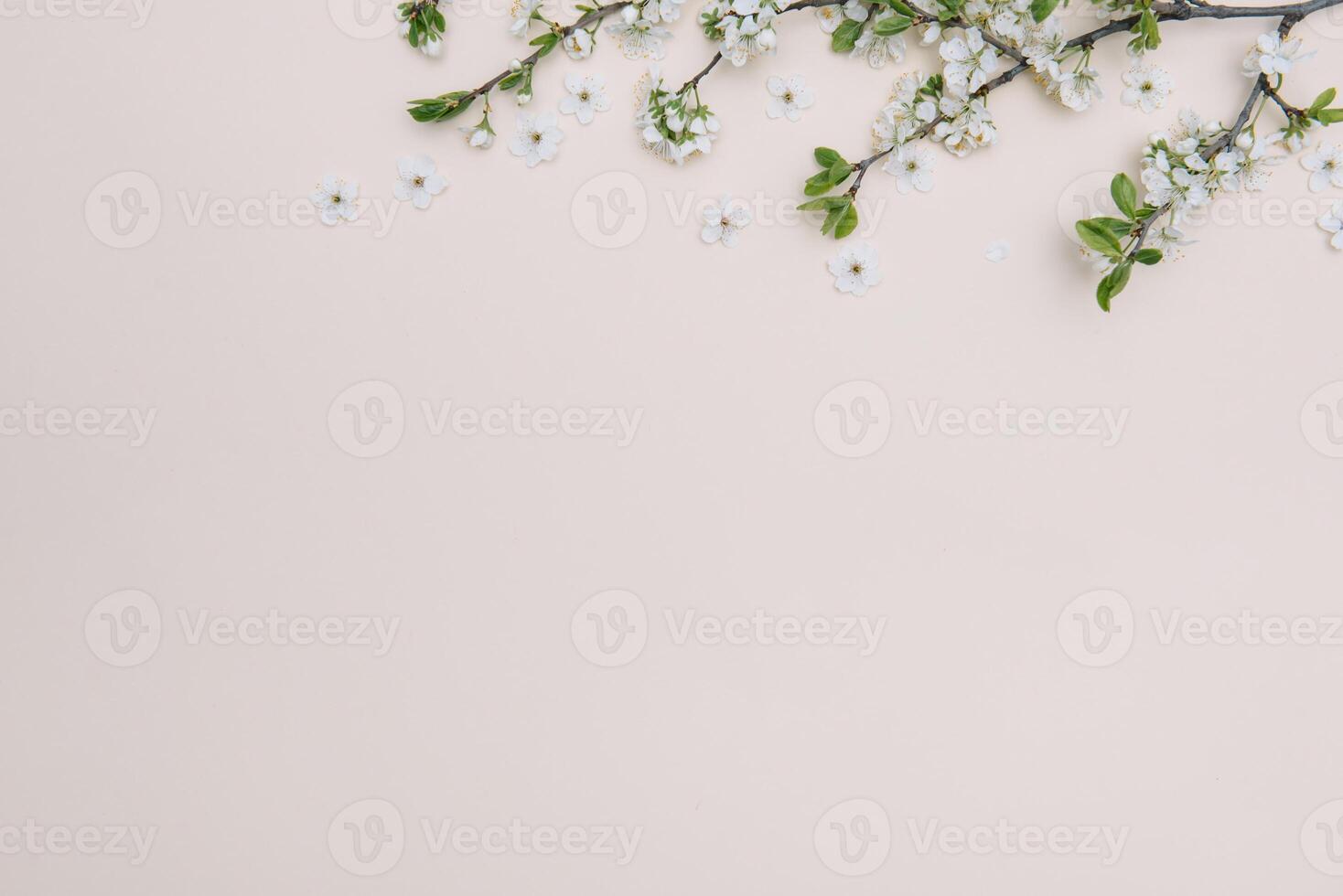Spring nature background with lovely blossom in yellow pastel color, top view, banner. Springtime concept. photo