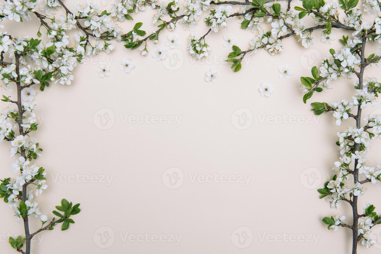 Spring nature background with lovely blossom in yellow pastel color, top view, banner. Springtime concept photo