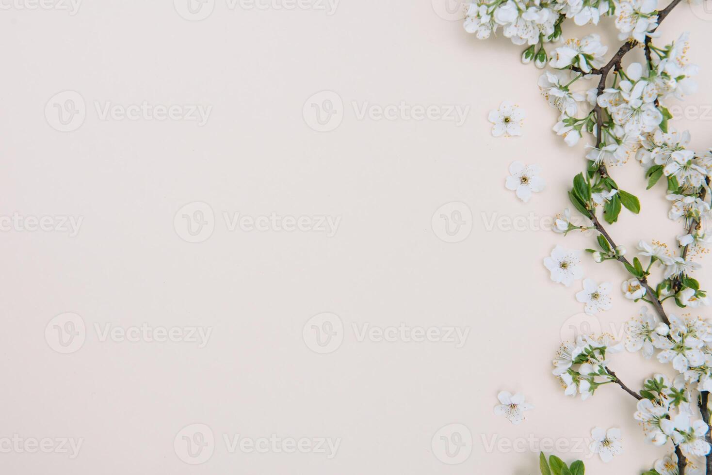 Spring nature background with lovely blossom in yellow pastel color, top view, banner. Springtime concept photo