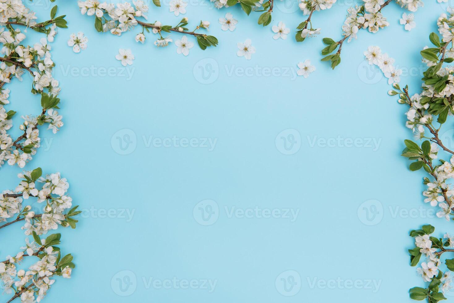 photo of spring white cherry blossom tree on blue background. View from above, flat lay, copy space. Spring and summer background. cherry blossom on a blue background