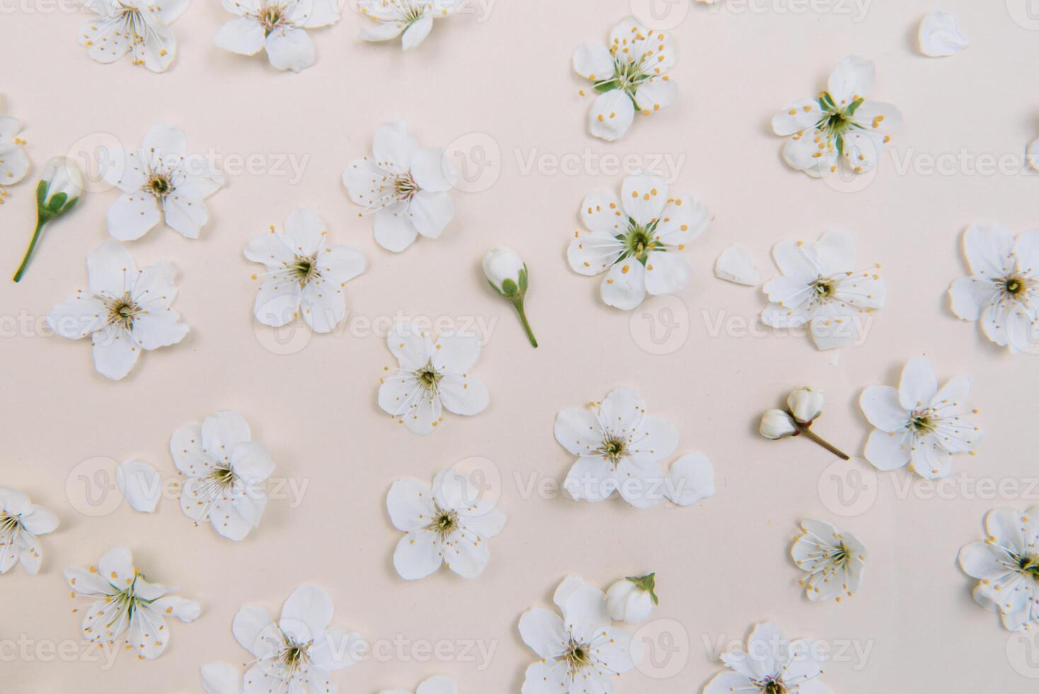 Spring nature background with lovely blossom in yellow pastel color, top view, banner. Springtime concept. photo