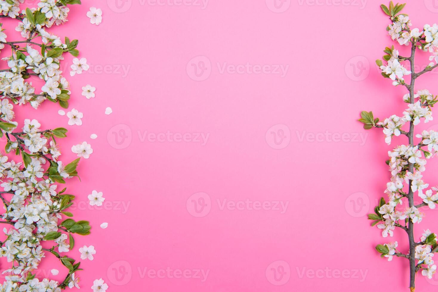 photo of spring white cherry blossom tree on pastel pink background. View from above, flat lay.