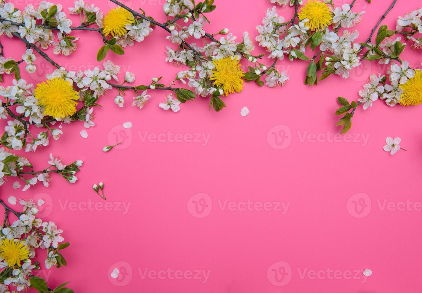 photo of spring white cherry blossom tree on pastel pink background. View from above, flat lay.