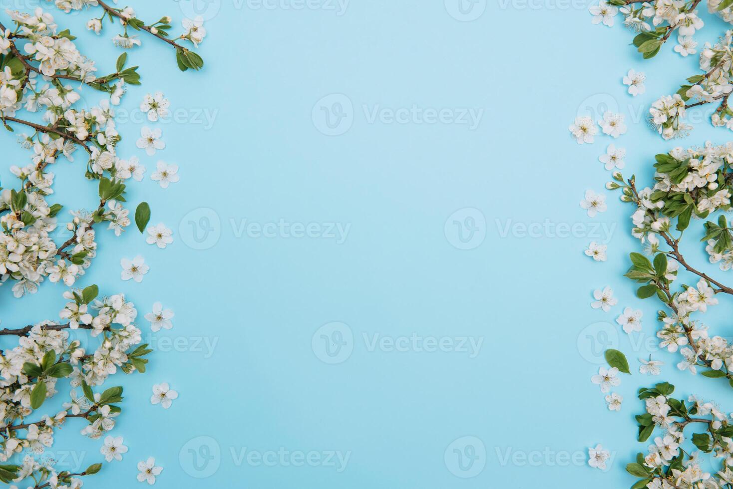 foto de primavera blanco Cereza florecer árbol en azul antecedentes. ver desde arriba, plano poner, Copiar espacio. primavera y verano antecedentes. Cereza florecer en un azul antecedentes