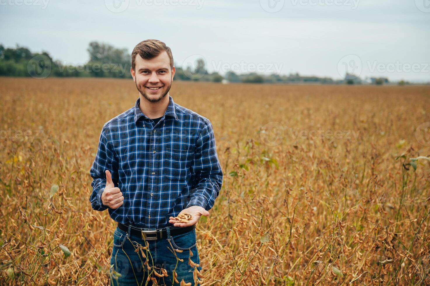 Agronomist holds tablet touch pad computer in the soy field and examining crops before harvesting. Agribusiness concept. agricultural engineer standing in a soy field with a tablet. photo