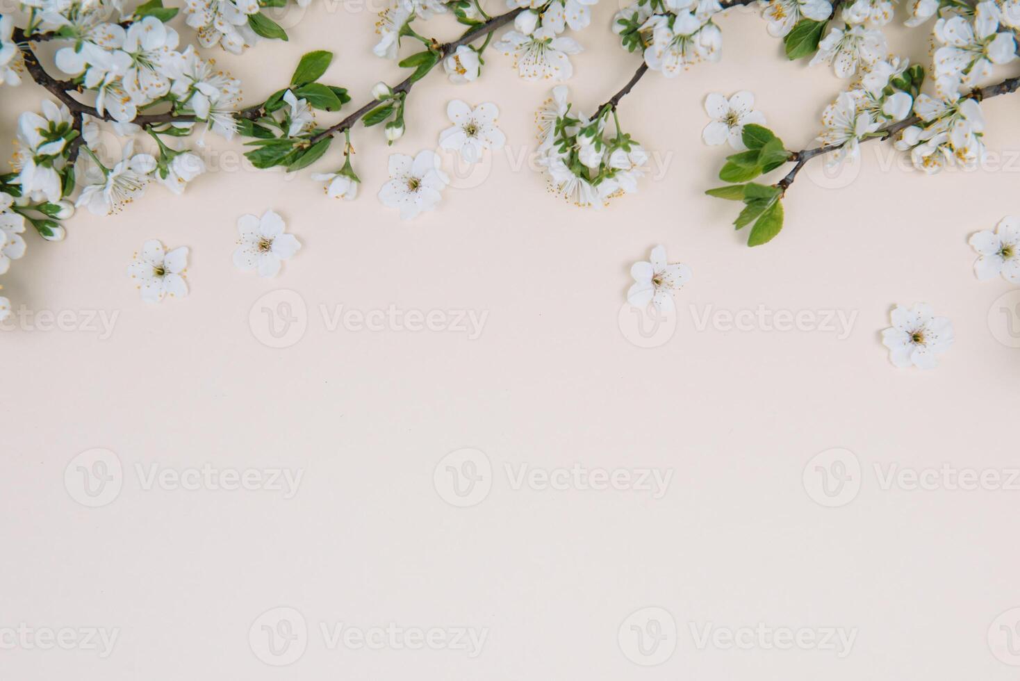 Spring nature background with lovely blossom in yellow pastel color, top view, banner. Springtime concept. photo