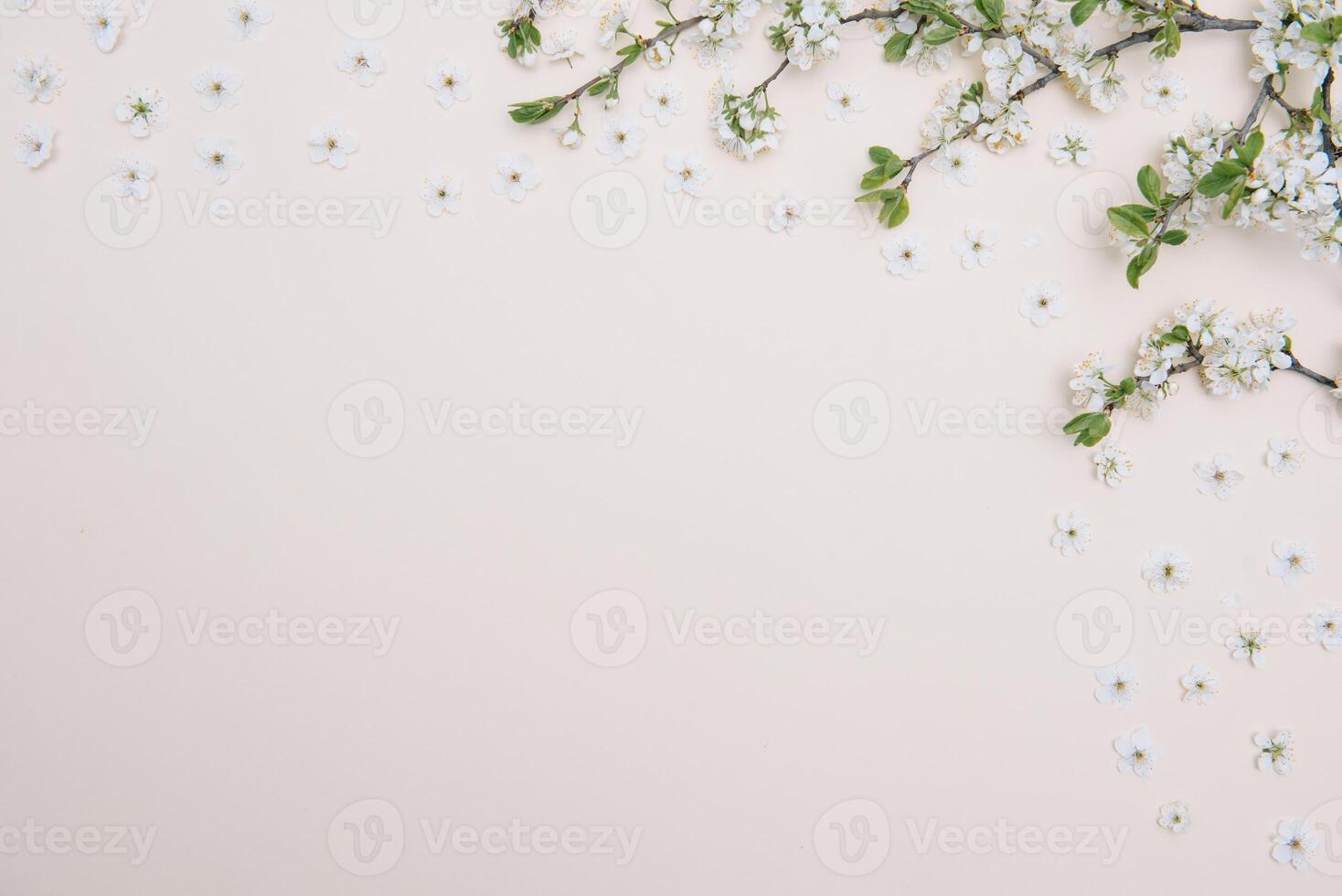 Spring nature background with lovely blossom in yellow pastel color, top view, banner. Springtime concept. photo