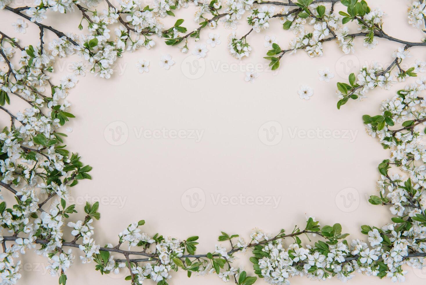 photo of spring white cherry blossom tree on pastel background. View from above, flat lay, copy space. Spring and summer background