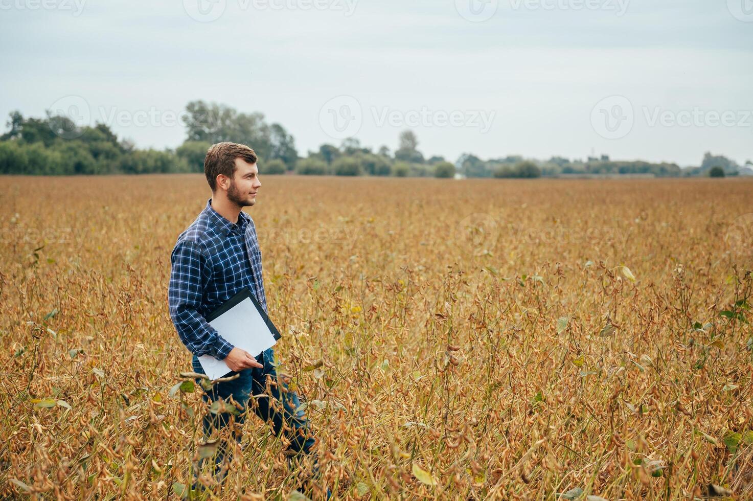 Agronomist holds tablet touch pad computer in the soy field and examining crops before harvesting. Agribusiness concept. agricultural engineer standing in a soy field with a tablet. photo