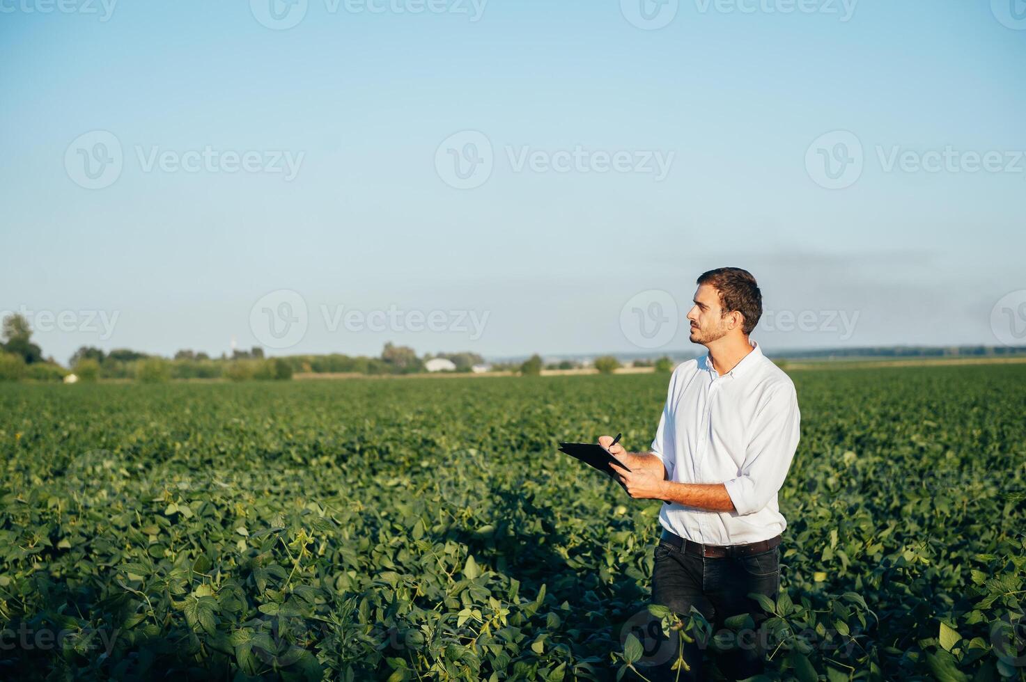 Agronomist holds tablet touch pad computer in the soy field and examining crops before harvesting. Agribusiness concept. agricultural engineer standing in a soy field with a tablet in summer. photo