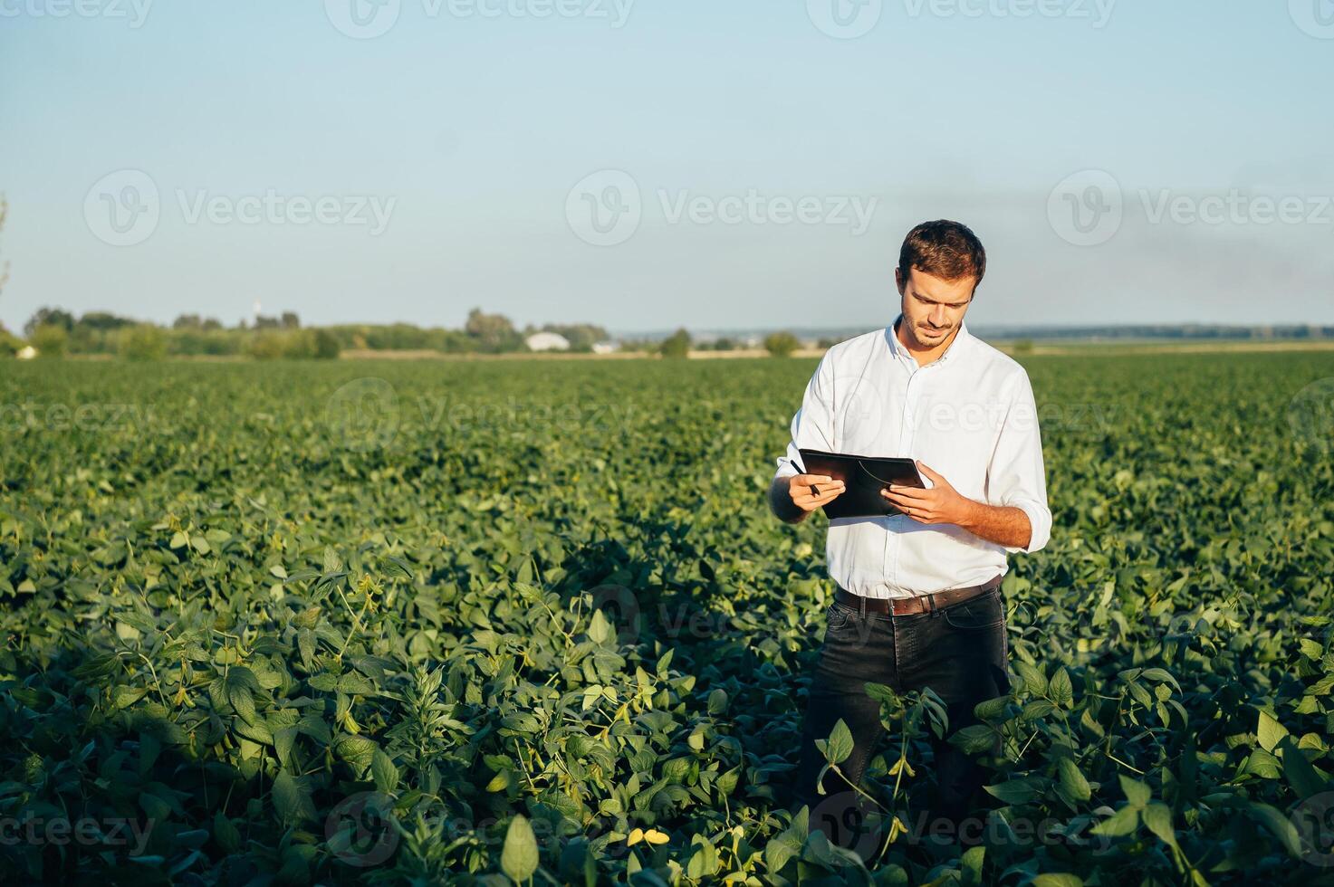 Agronomist holds tablet touch pad computer in the soy field and examining crops before harvesting. Agribusiness concept. agricultural engineer standing in a soy field with a tablet in summer. photo