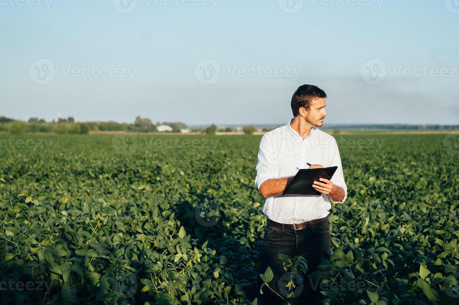 Agronomist holds tablet touch pad computer in the soy field and examining crops before harvesting. Agribusiness concept. agricultural engineer standing in a soy field with a tablet in summer. photo