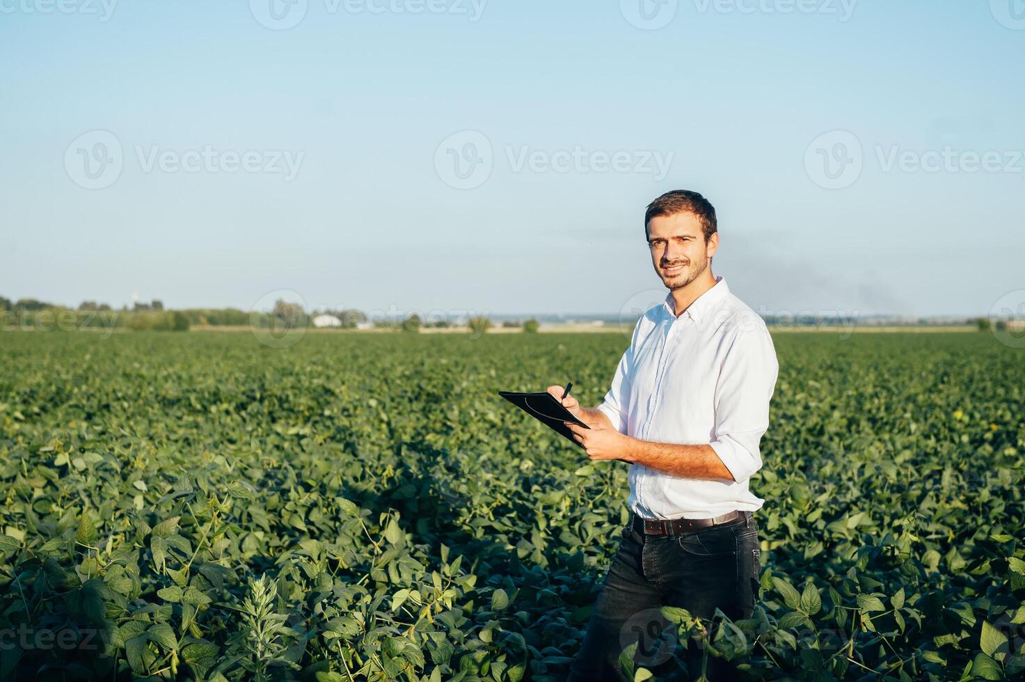 Agronomist holds tablet touch pad computer in the soy field and examining crops before harvesting. Agribusiness concept. agricultural engineer standing in a soy field with a tablet in summer. photo