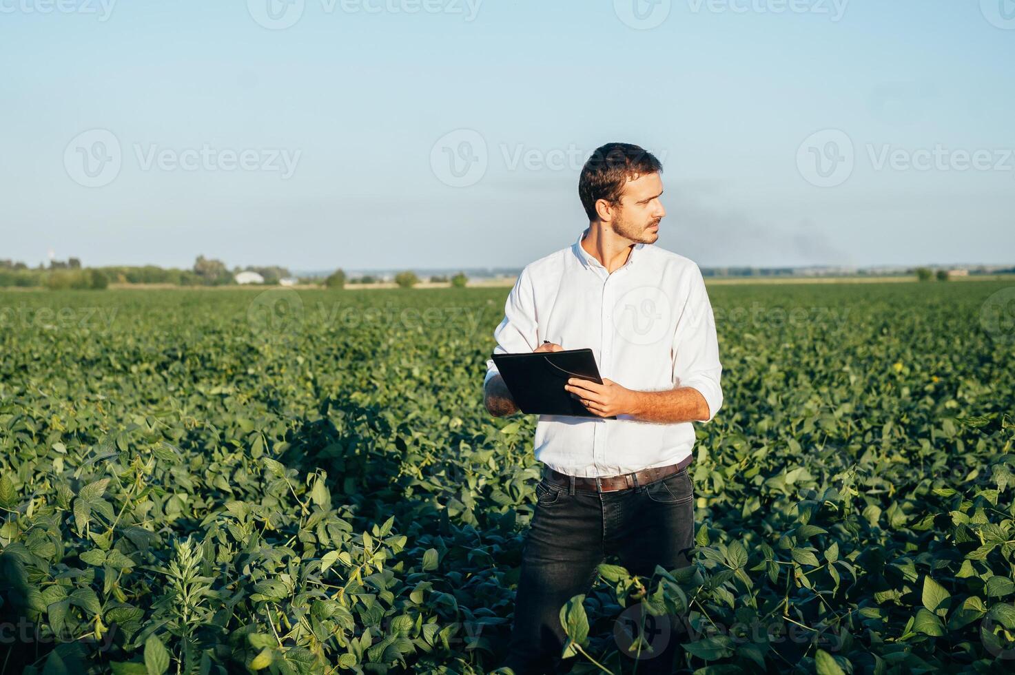 Agronomist holds tablet touch pad computer in the soy field and examining crops before harvesting. Agribusiness concept. agricultural engineer standing in a soy field with a tablet in summer. photo
