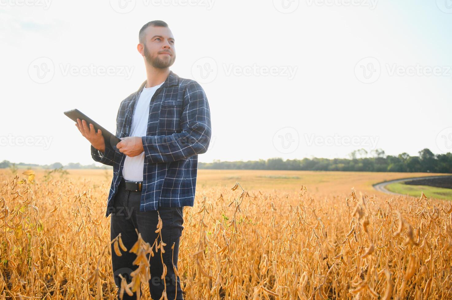 Young agronomist holds tablet touch pad computer in the soy field and examining crops before harvesting. Agribusiness concept. agricultural engineer standing in a soy field with a tablet. photo