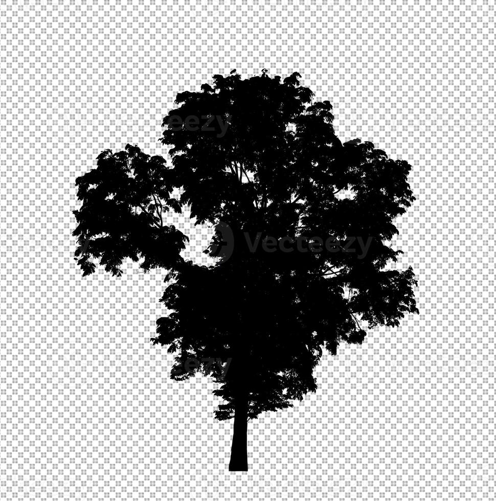 Tree silhouette on transparent background with clipping path and alpha photo