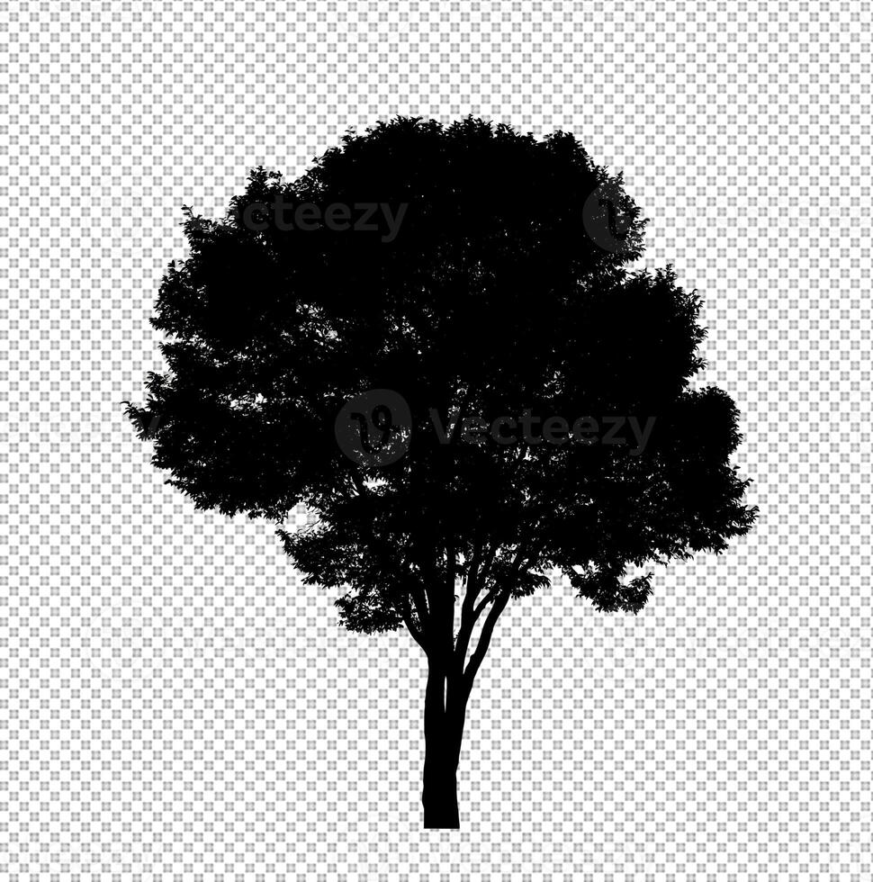 Tree silhouette on transparent background with clipping path and alpha photo