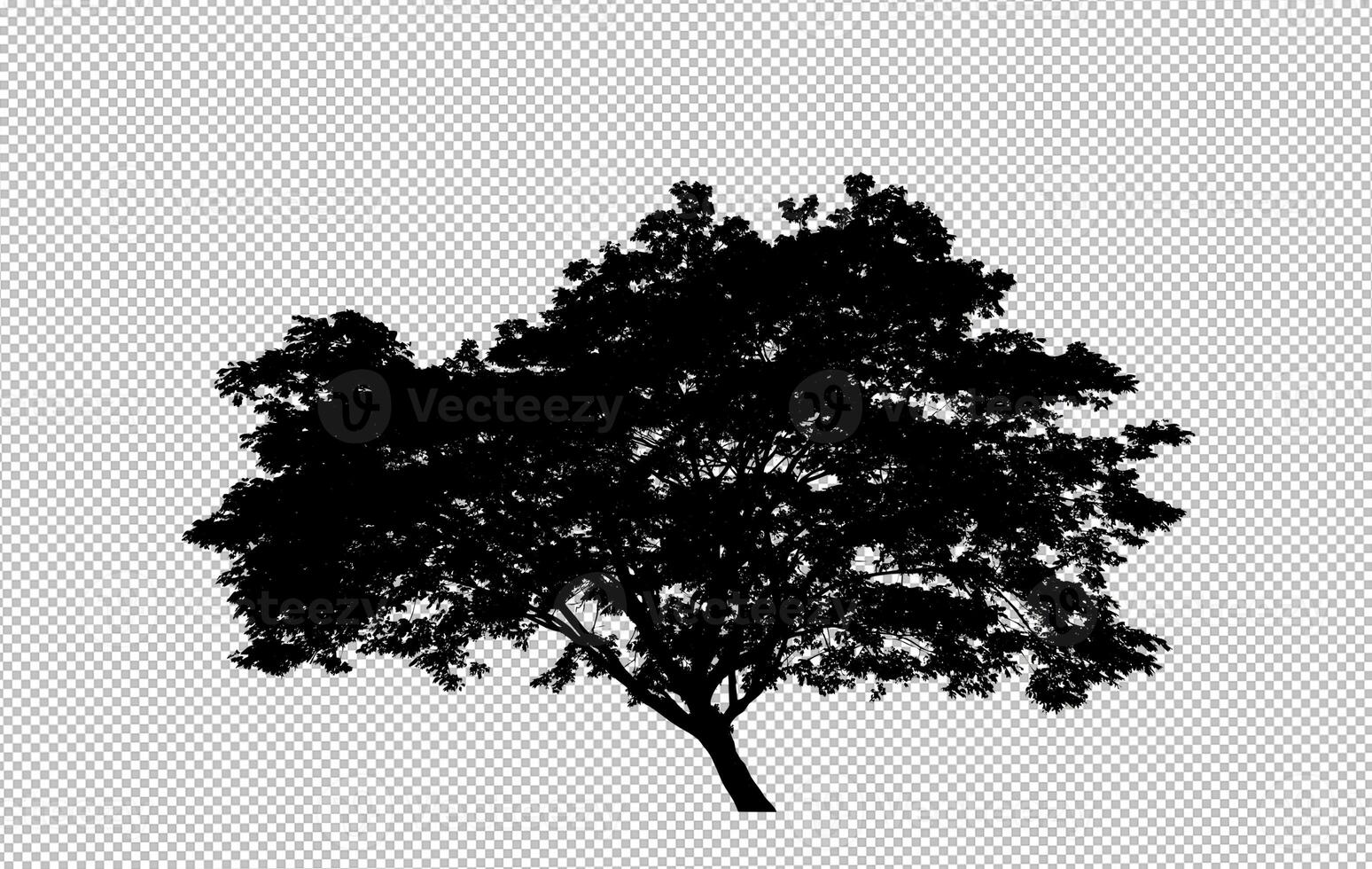 Tree silhouette on transparent background with clipping path and alpha photo