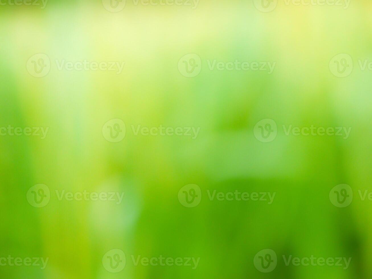 Abstract bokeh out of focus blurred color nature background. photo