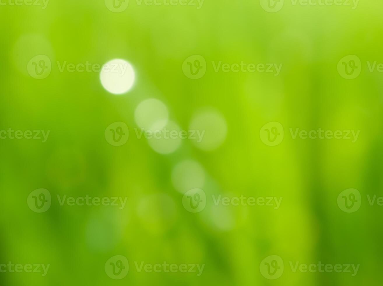 Abstract bokeh out of focus blurred color nature background. photo
