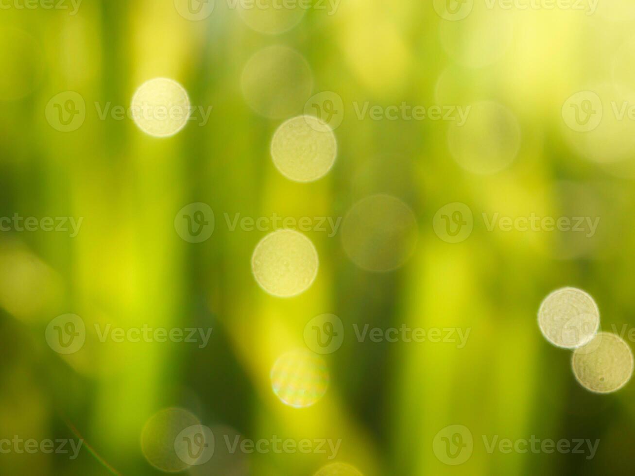Abstract bokeh out of focus blurred color nature background. photo