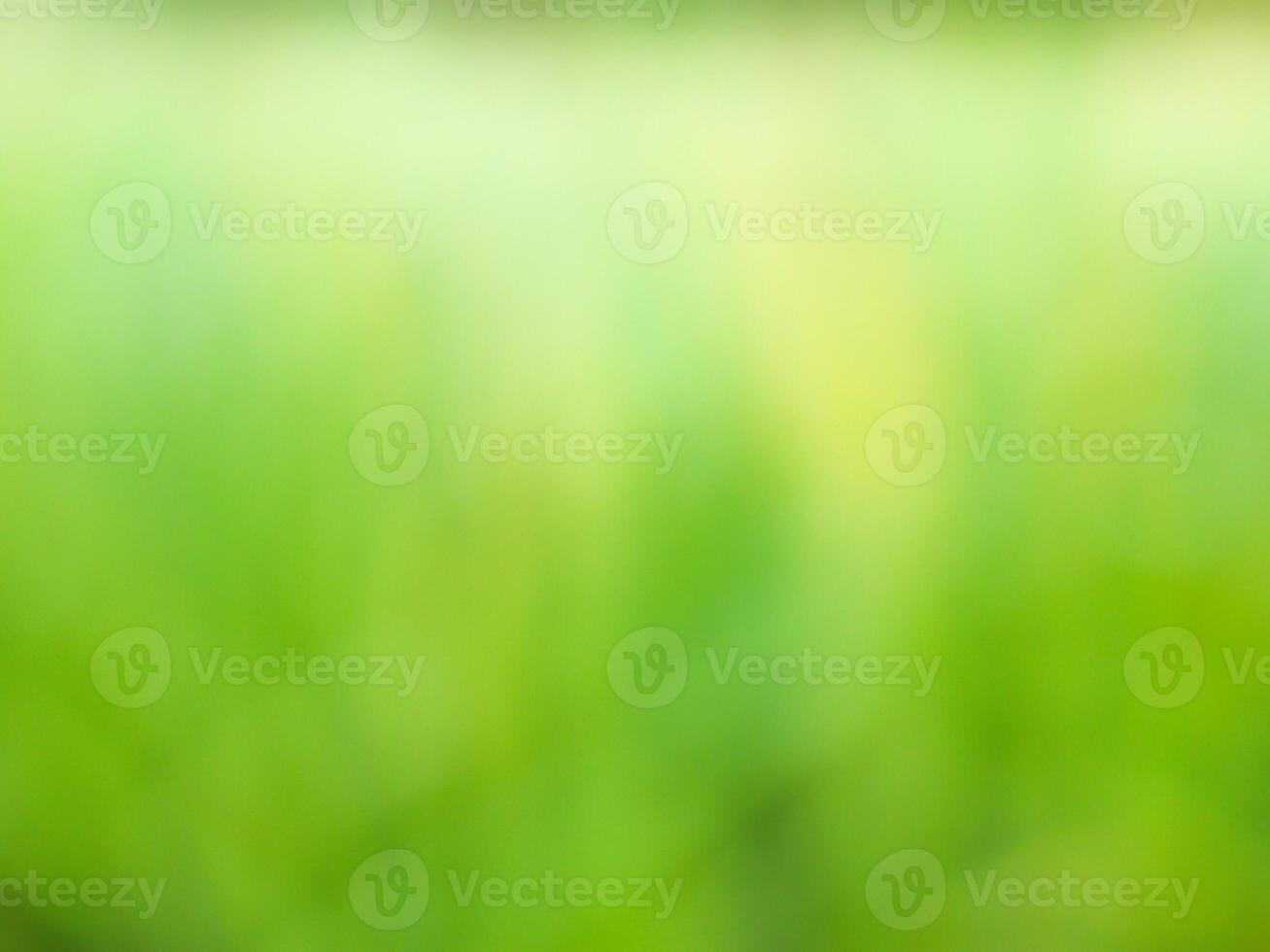Abstract bokeh out of focus blurred color nature background. photo