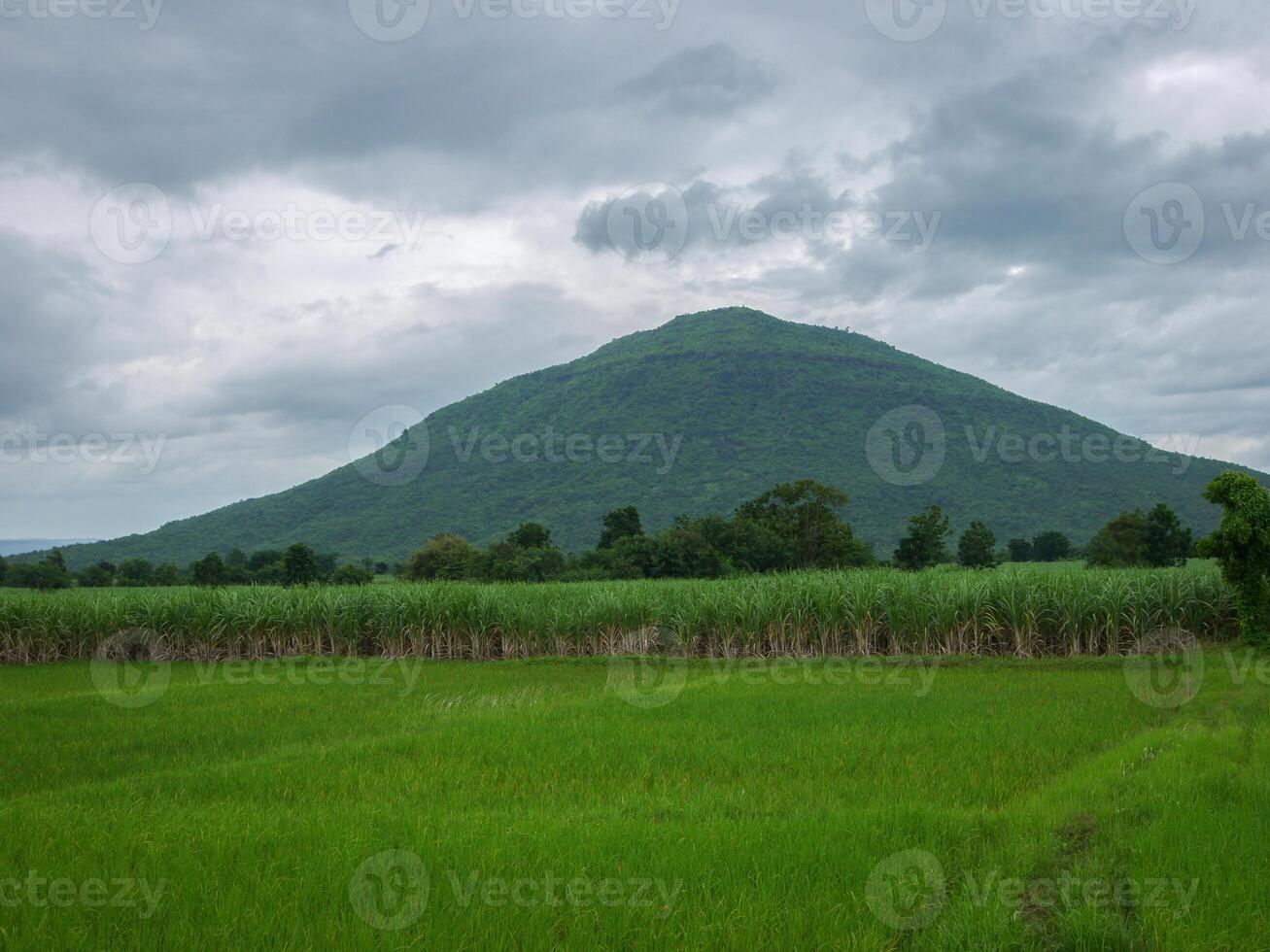 Rain over forest mountains. photo