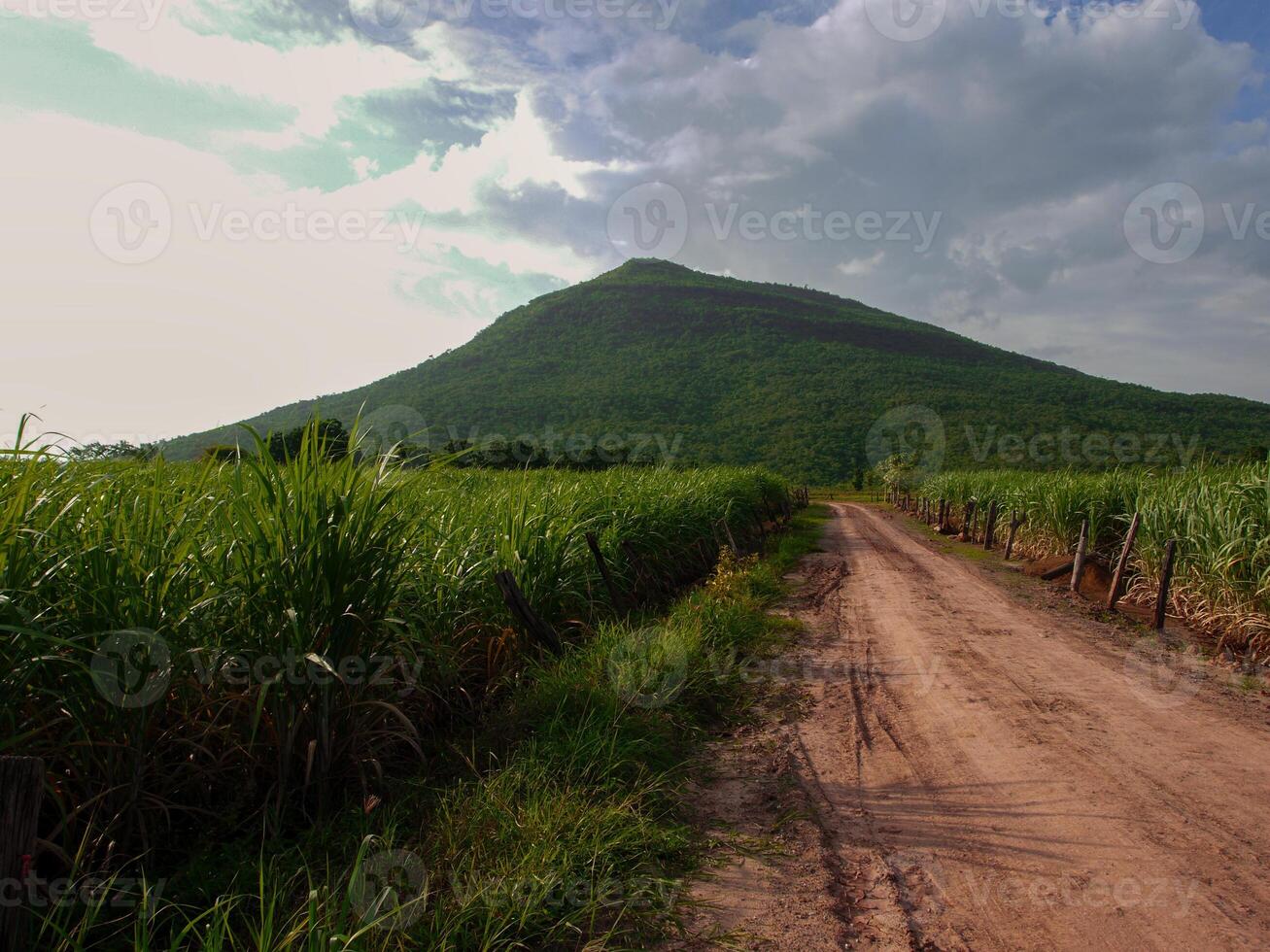 Rain over forest mountains. photo