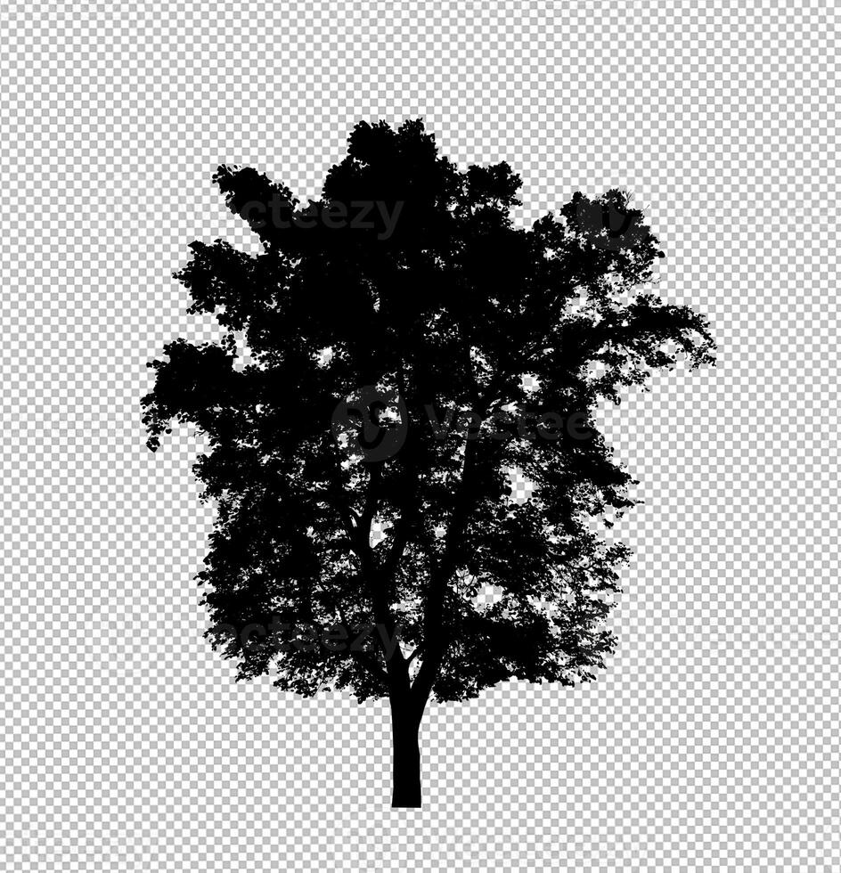 Tree silhouette on transparent background with clipping path and alpha photo