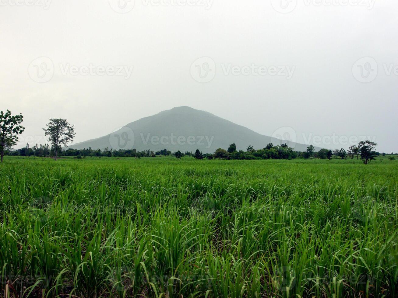 Rain over forest mountains. photo