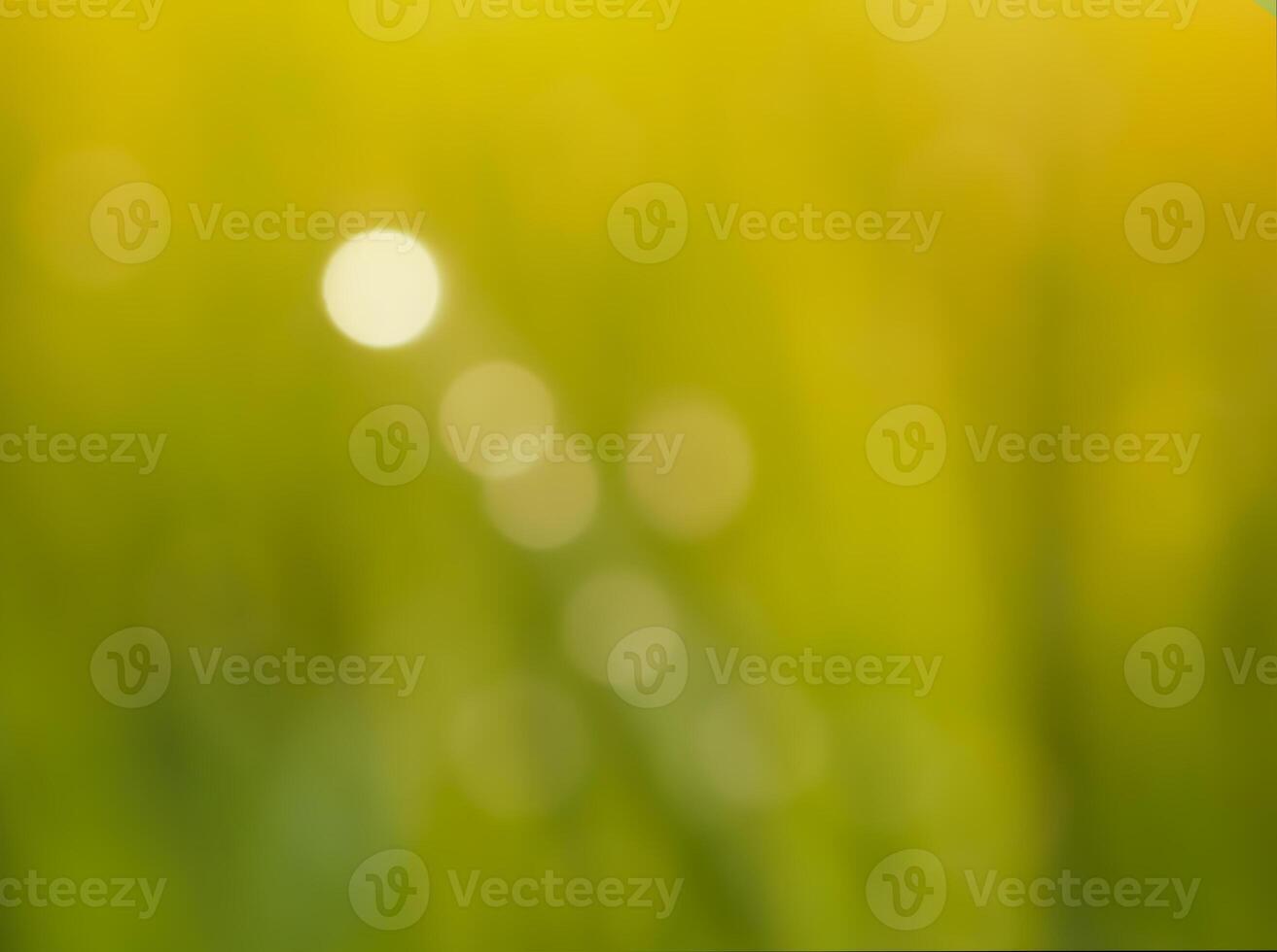 Abstract bokeh out of focus blurred color nature background. photo