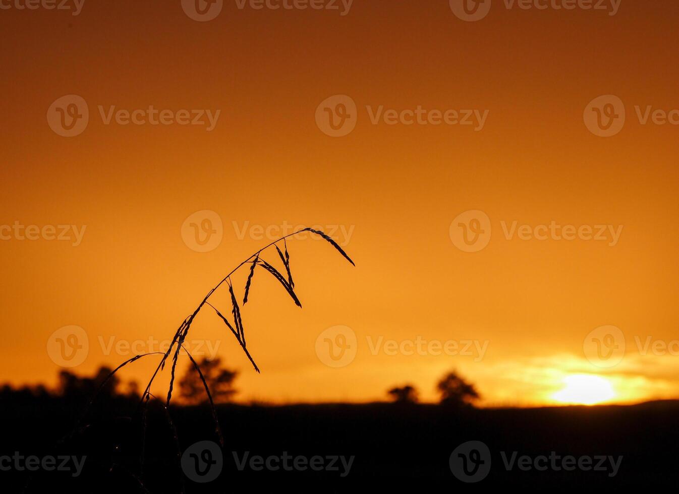 Spectacular sunset over, orange sun rising up over the horizon photo