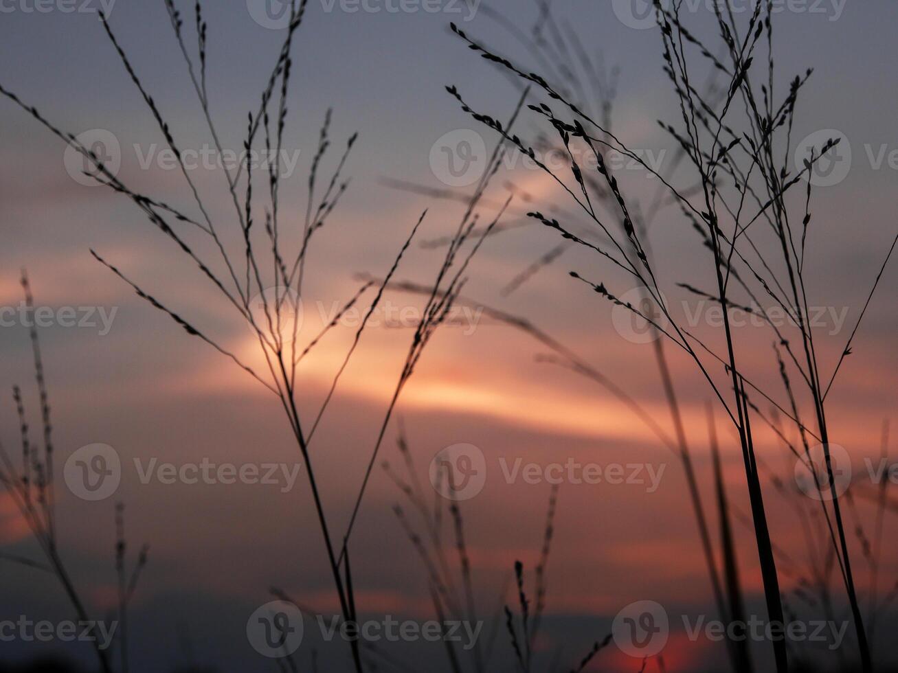 Spectacular sunset over, orange sun rising up over the horizon photo