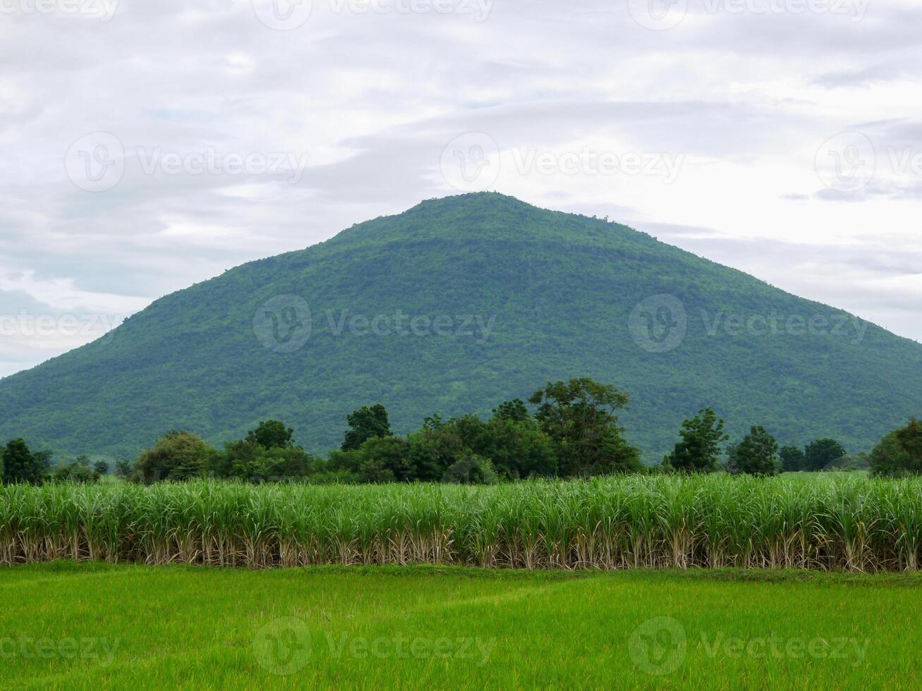 Rain over forest mountains. photo