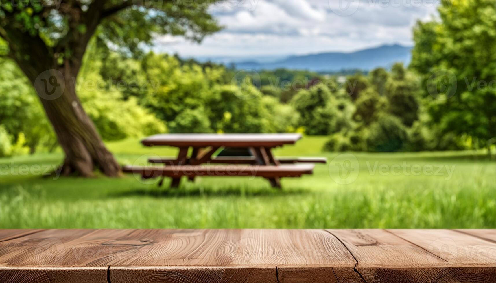 an empty wood table top with picnic table and green landscape background photo