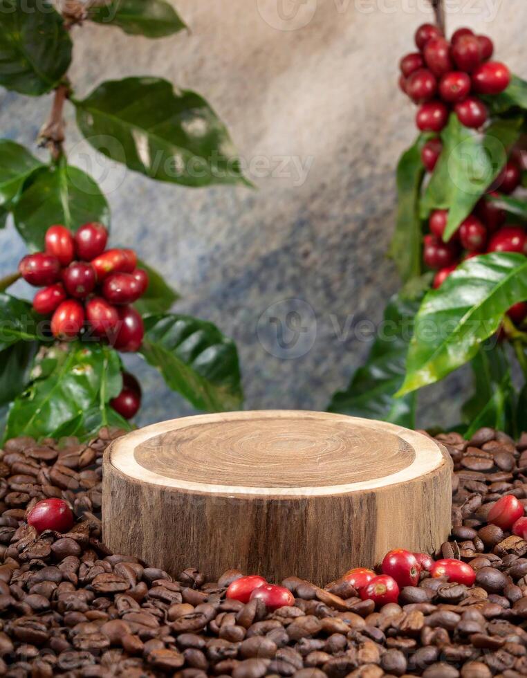 empty wood podium surrounded by coffee beans with coffee plant with red fruit photo