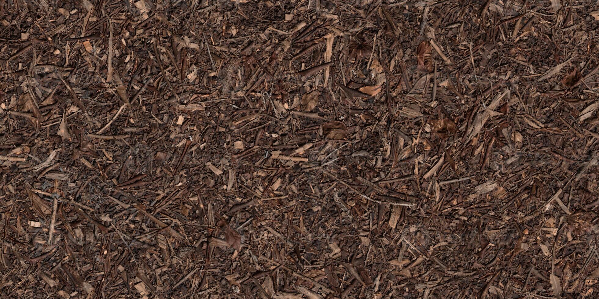 park forest floor texture background photo