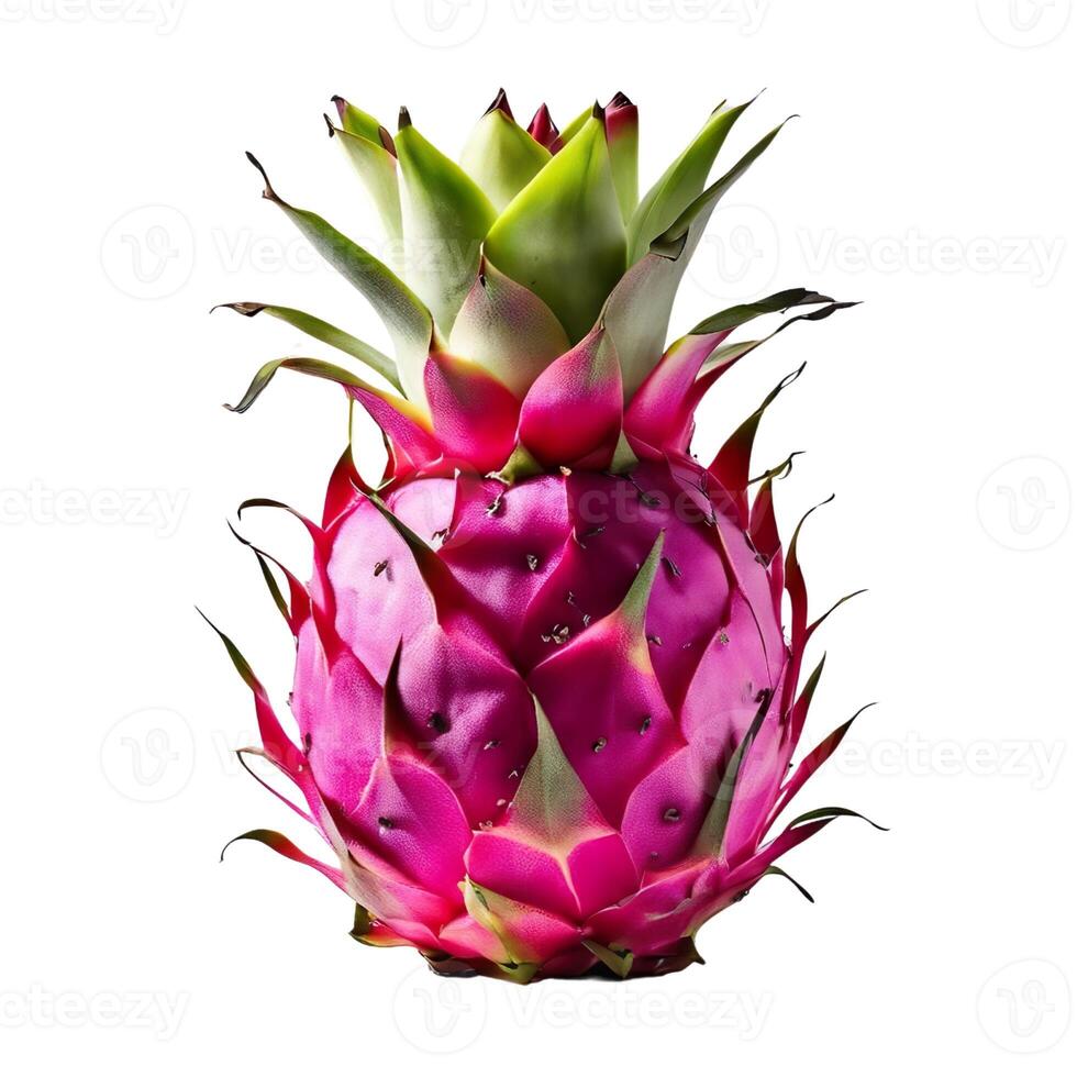 Fresh dragon fruit. Whole dragon fruit isolated. Healthy diet. Vegetarian food photo