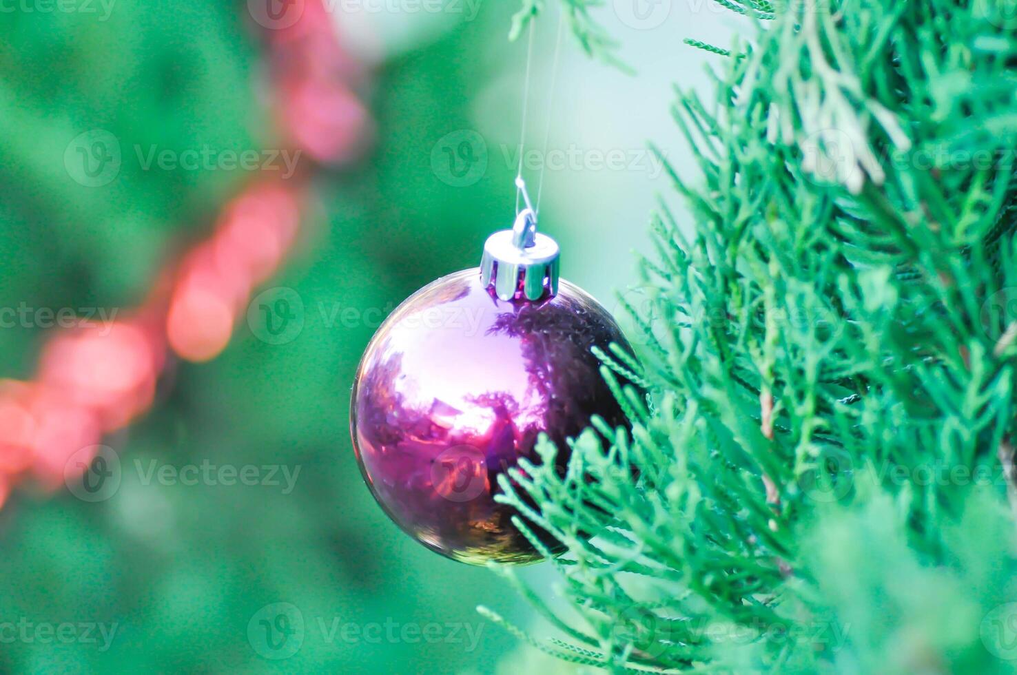 Christmas day or christmas decoration , christmas ball on pine tree photo