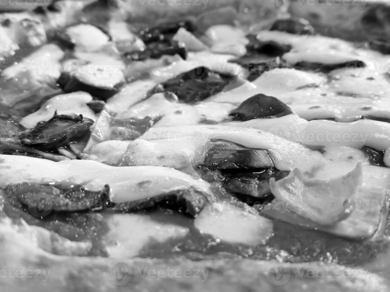 Tasty pizza close view background. Black and white pizza photo