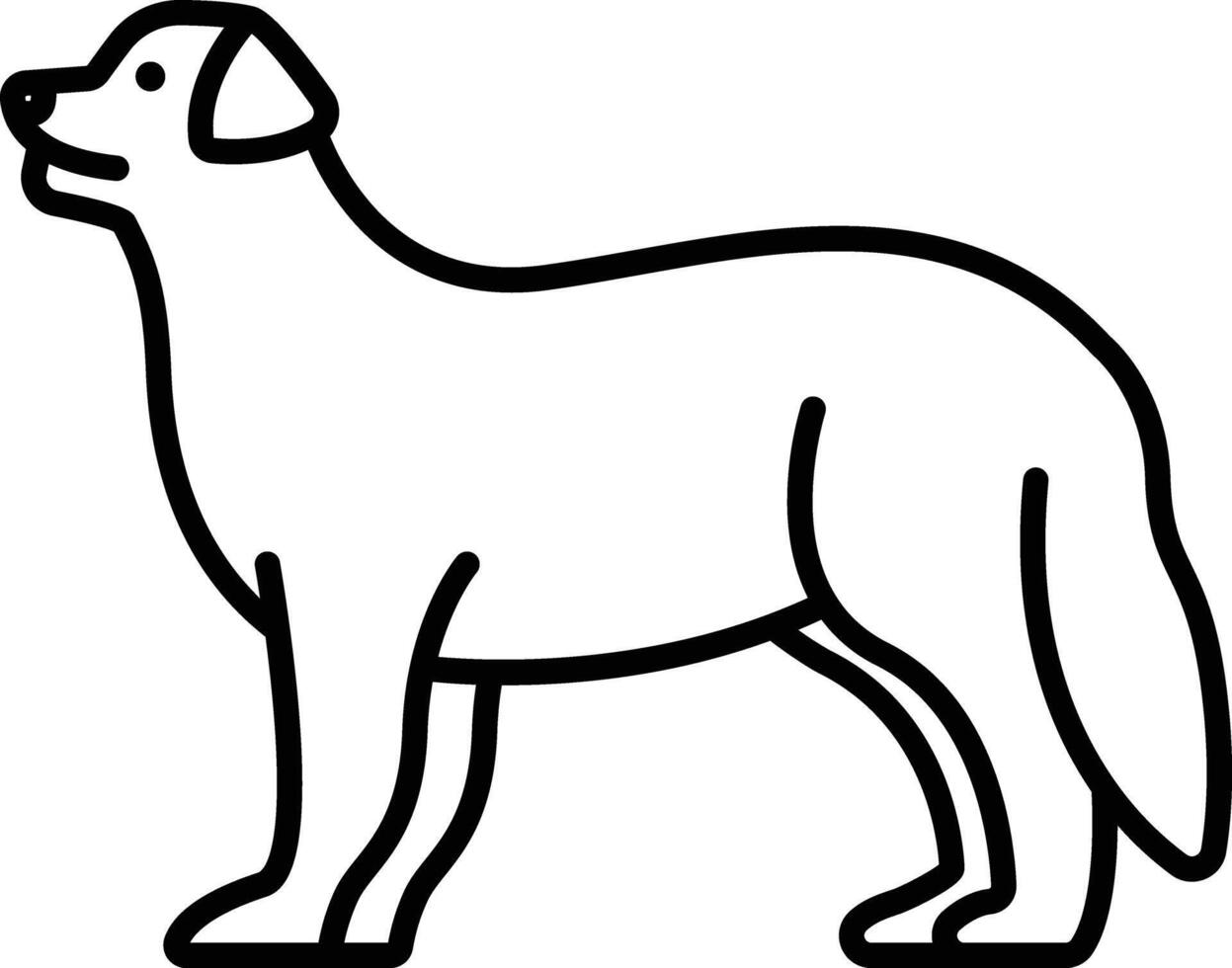 Bernese Mountain dog outline illustration vector