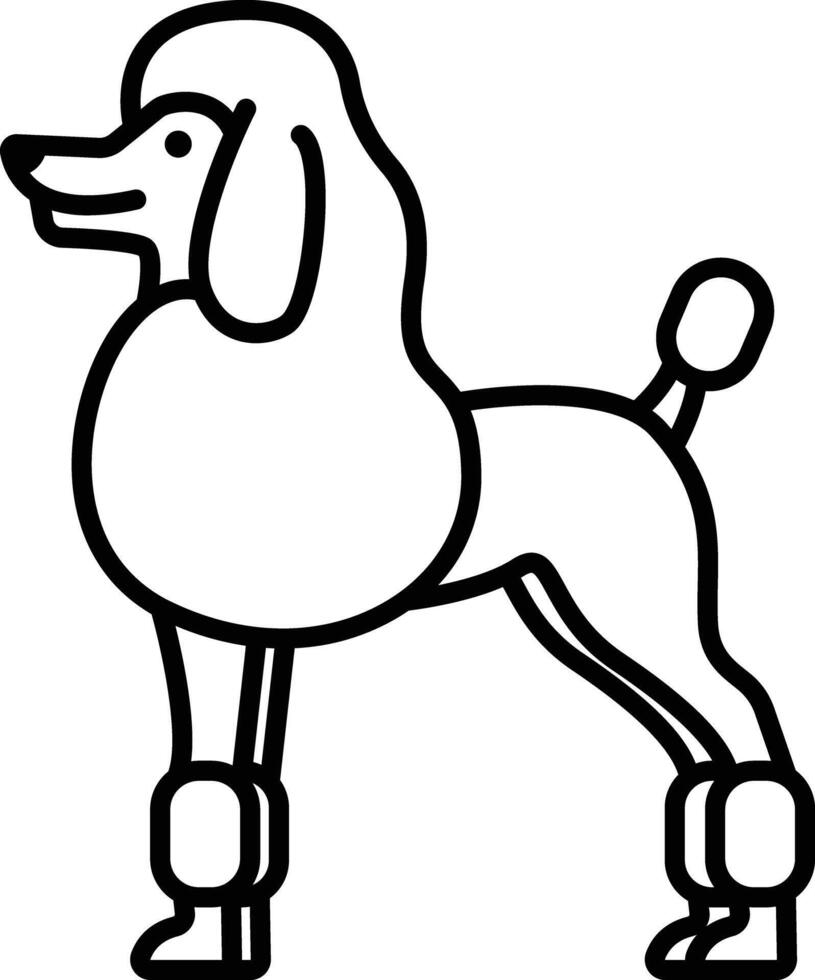 Poodle dog outline illustration vector