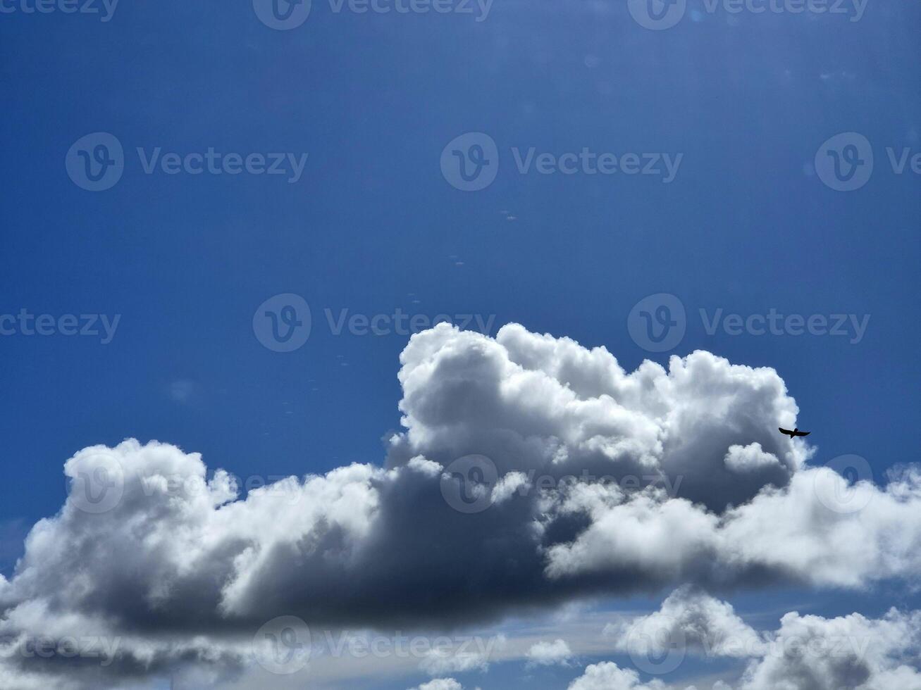 White fluffy cumulus clouds background. Summer clouds in the blue sky photo