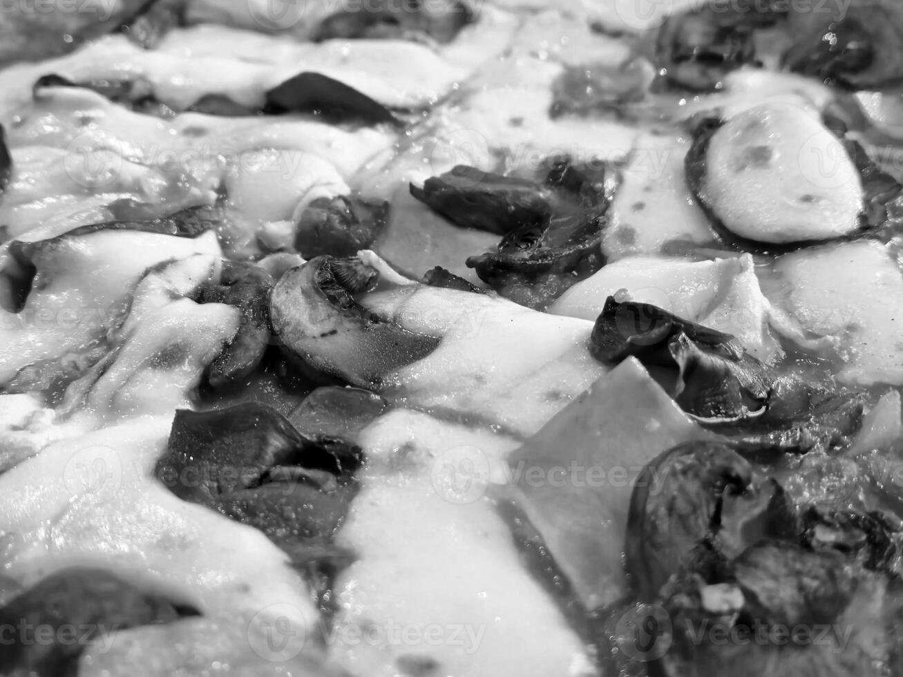 Tasty pizza close view background. Black and white pizza photo