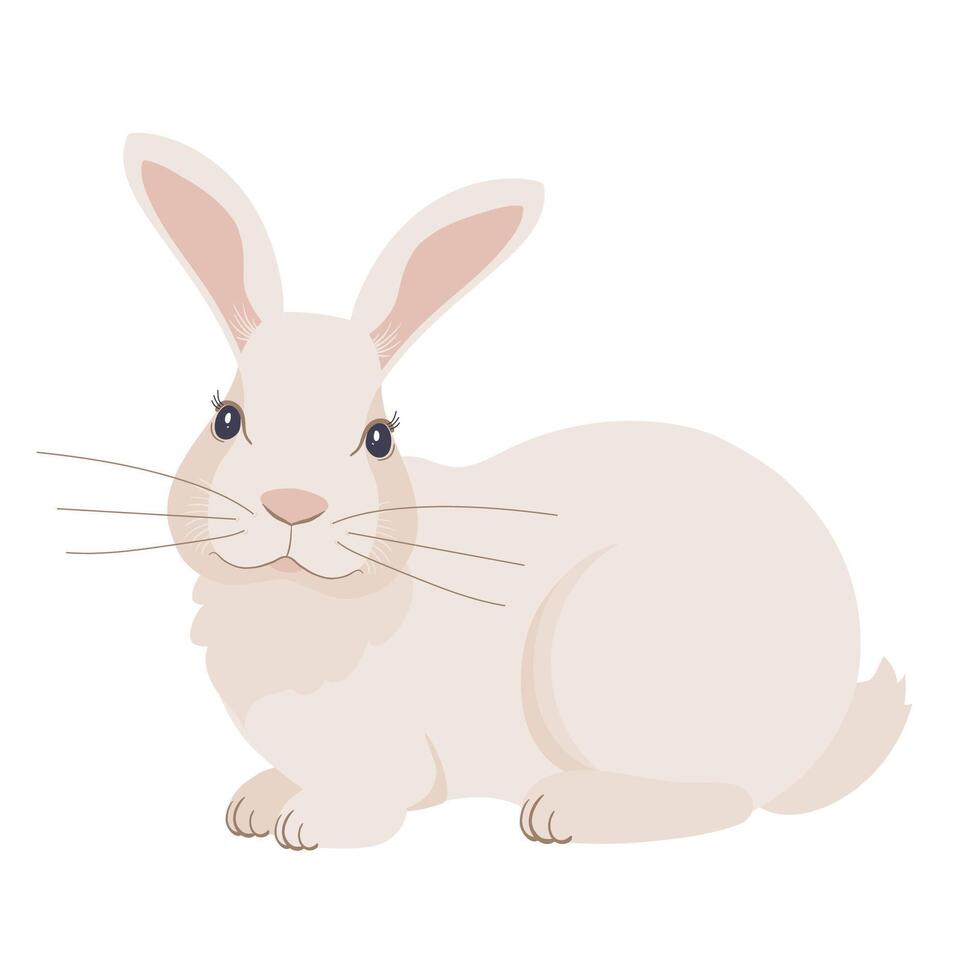 illustration of a rabbit, close - upview isolated on a white background. Bunny graphics for Easter stickers and postcards. vector