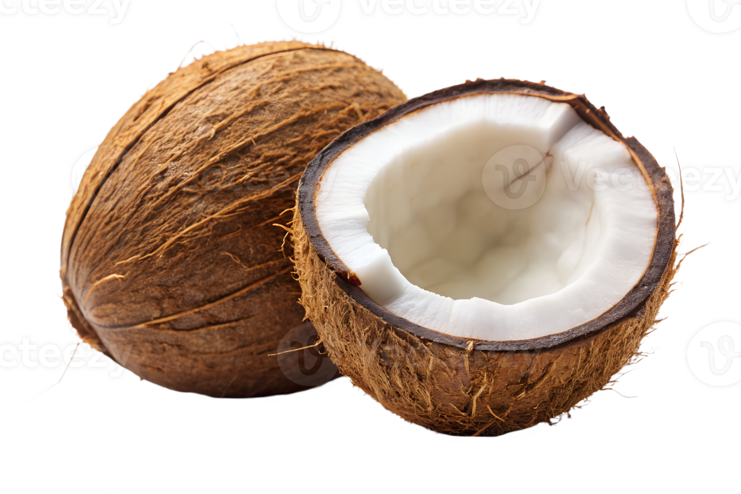 , coconut isolated on transparent background png