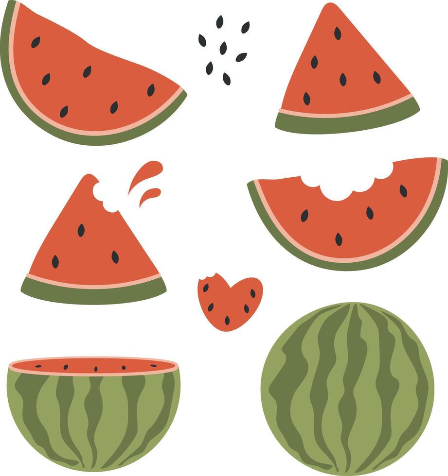 Watermelon set, watermelon slice, watermelon heart, tropical fruit collection design for interior, poster, banner vector